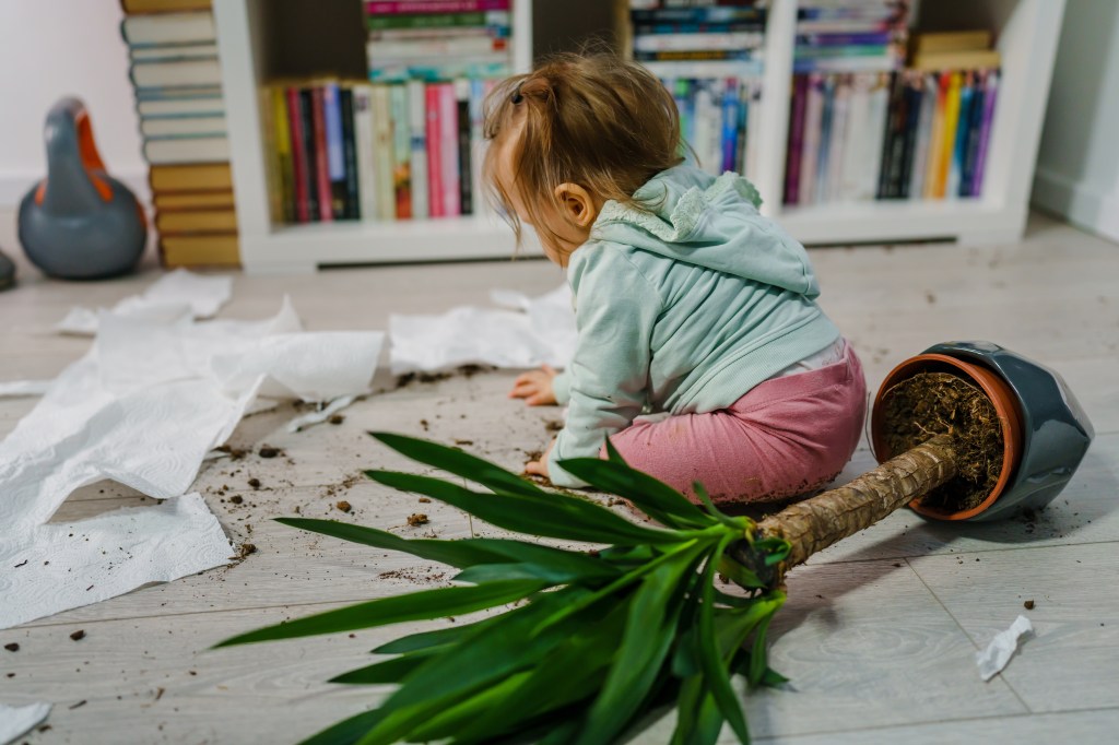 Little Caucasian girl causing a mess at home by tearing paper towels and crushing a flower pot on the floor